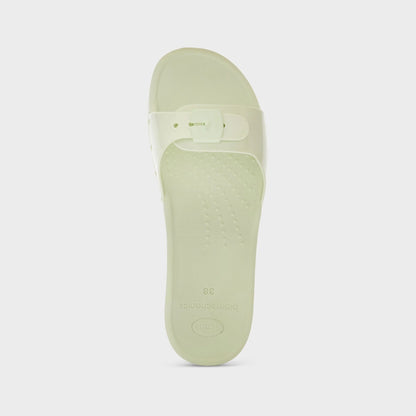 Scholl Sun