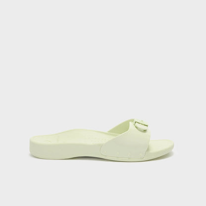 Scholl Sun